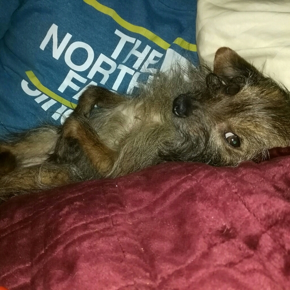 Meet your Posher, Lisa - Picture 7 of 11